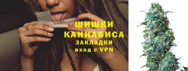 гидра Волоколамск